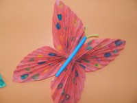 /album/feuilles-et-papillons/picture-231-jpg/